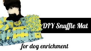 DIY Snuffle Mat for Dog Enrichment [upl. by Hola]