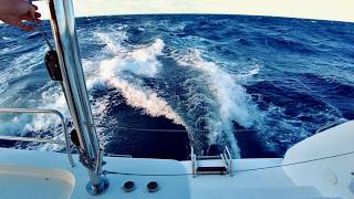 Lagoon 46 Catamaran Sailing 2600nm Ep2 [upl. by Svoboda92]