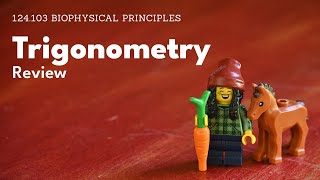 Trigonometry Review [upl. by Erodroeht898]