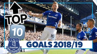 TOP 10 BEST EVERTON GOALS 201819  SIGURDSSON RICHARLISON DIGNE [upl. by Puiia]