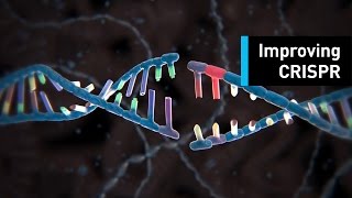 Targeted Gene Modification [upl. by Anircam]