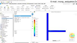 Using the Eulerian Multiphase Models [upl. by Aylat]