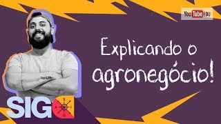 AGRONEGÓCIO  características [upl. by Ardnaik44]