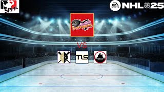 SPHL Multiple Scoregasms vs Nailers The Land Stealers and Motor City [upl. by Elleral579]