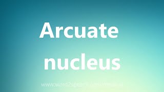 Arcuate nucleus  Medical Definition [upl. by Levy]