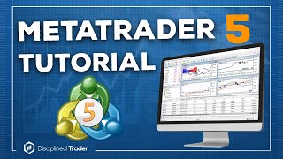 Complete MetaTrader 5 Tutorial For Beginners  2024 Edition [upl. by Perren962]