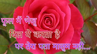 Phool Me Bheju Dil Ye Karta Tera Pata Maloom Nahi Love Whatsapp Status  Gulrez Siddiqui [upl. by Belia]