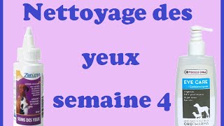 Nettoyage des yeux semaine 4 [upl. by Schluter]