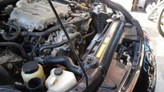 Serpentine belt Replacement  2005 Nissan 350z [upl. by Mair]