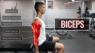 The Best ScienceBased Bicep Workout  ARMS Part 12 [upl. by Walston]