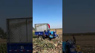 Short video agriculture machine grass cutting machine subscribe [upl. by Gratt]