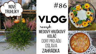 VLOG 86  hruškový koláč nové truhlíky dort pro Áďu oslava zahrádka 🎂 [upl. by Ecirehs373]