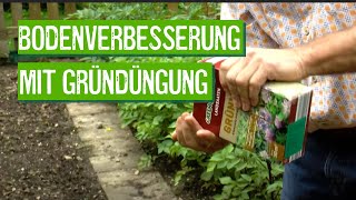 Gründüngung für das Beet im eigenen Garten  Der Grüne Tipp kompakt [upl. by Rekrap]