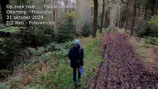 659 Olterterp  Op zoek naar Paddenstoelen 31102024  DJI Neo [upl. by Crystal658]