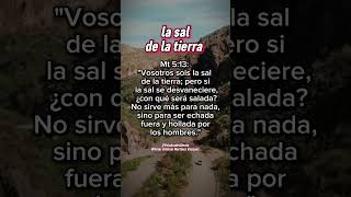 Vosotros sois la sal de la tierra shortsfeed saldelatierra biblia [upl. by Rumery]