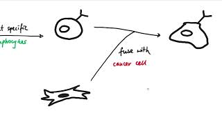 AQA GCSE  B6 Preventing and treating diseases OVERVIEW [upl. by Hillyer556]