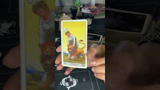 Mensagem de lua minguante em Virgem para o signo de Sagitário tarot signos astrologia short [upl. by Danya]