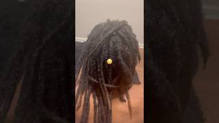 DREADLOCK BUILDUP dreads dreadstyles dreadlocks shorts foryou viralvideo dreadjourney [upl. by Alistair]