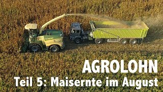 Lohnunternehmen Agrolohn Maisernte im August [upl. by Nylcsoj237]