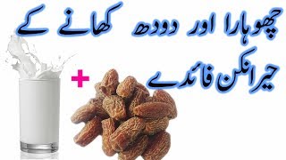 Chuare ke fayde  Chuara with milk benefits in urdu  Dry Date [upl. by Nedearb]