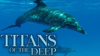 Titans of the Deep  Denizens of the Deep  4K [upl. by Irmina]