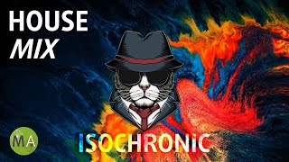 Peak Focus For Complex Tasks with Isochronic Tones  Spy Cat Mix [upl. by Letsirk754]