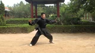 An Wushu  Baji Quan [upl. by Kordula730]