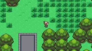 Pokemon Flora Sky Walkthrough Part 8  Hippowdon Temple amp Habutest Town [upl. by Anu379]