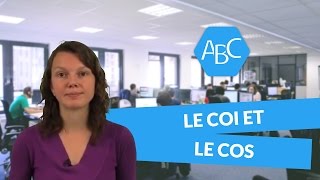 Cours de français 6ème  le COI et le COS [upl. by Blaine974]