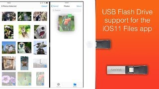 iXpand Drive support for the iOS11 Files app [upl. by Ule]