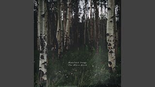 The White Birch [upl. by Talie]