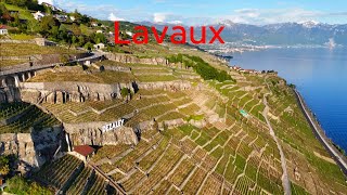 Switzerland 🇨🇭 Lavaux UNESCO World Heritage [upl. by Claudell]