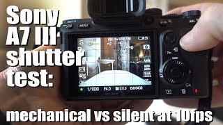 Sony A7 III shutter test  mechanical vs silent at 10fps [upl. by Aiuoqes]