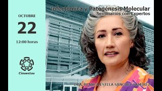 Avances en el estudio de Rhus trilobata actividad antineoplásica y antiinflamatoria [upl. by Nauqyaj]