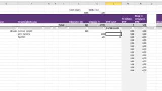 Excel boekhouding met dubbele administratie [upl. by Miki]