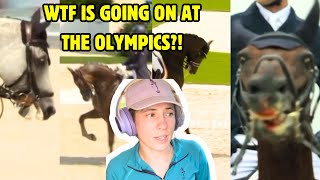 Paris Olympic Equestrian Sports A WELFARE DISASTER  Horse Behaviour Specialist Speaks Out [upl. by Ennahtur166]