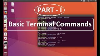 Basic Terminal Commands in Linux Ubuntu  Ubuntu tutorial for Beignners [upl. by Husein]