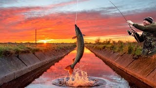 Fenland Pike Fishing Adventures  Tales of Triumph and Trophy fish [upl. by Haden]