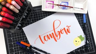 Tombow Dual Brush Markers  2 Fun Ways on How to Use Them [upl. by Skolnik]