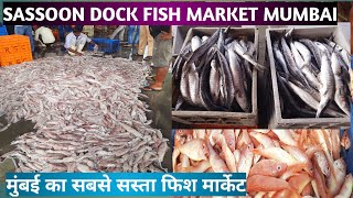 Sassoon Dock Fish Market Latest Video l Sassoon Dock Wholesale Fish Market Mumbai l Sassoon Dock [upl. by Persse]