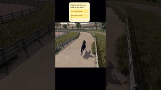 Did you see the race track on my farm farmingsimulator25 farmbuilding racehorse [upl. by Ronyam]