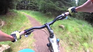 Kielder Forest MTB  Blue Run Single Track Downhill Sections [upl. by Ralat646]