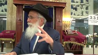 Jewish Etiquette 2  Daily Halacha [upl. by Magnus]