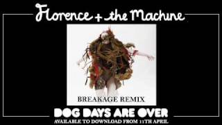 Florence and the Machine  Dog Days Are Over Breakage Remix [upl. by Noelyn349]