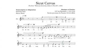 Alto  Sicut Cervus PL da Palestrina [upl. by Zelde]