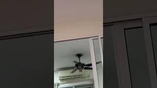 Deka GL Ceiling Fan [upl. by Nesyrb968]