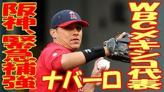 阪神、緊急補強決断！新４番候補にカブス３Ａナバーロ、ロサリオを見限る！ [upl. by Flagler]