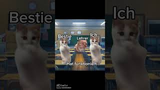 MATHE EXAMEN meme school cat shorts [upl. by Niliram]