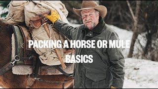 How to Pack a Horse or Mule [upl. by Lienad774]