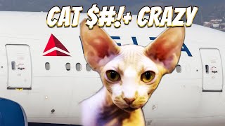 Woman Caught Breastfeeding Her Cat On Delta Flight [upl. by Eicarg]